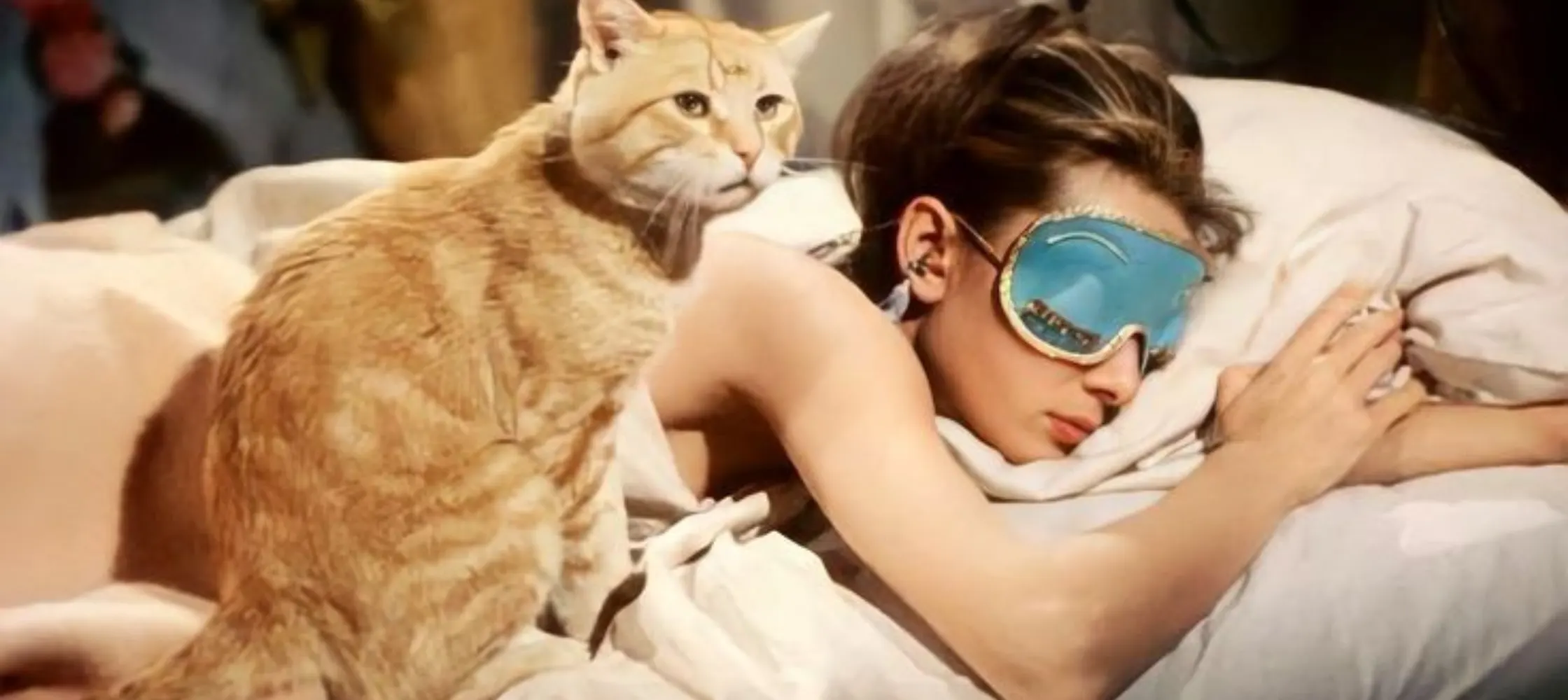 The WOMB Blog Sleep Gender Gap