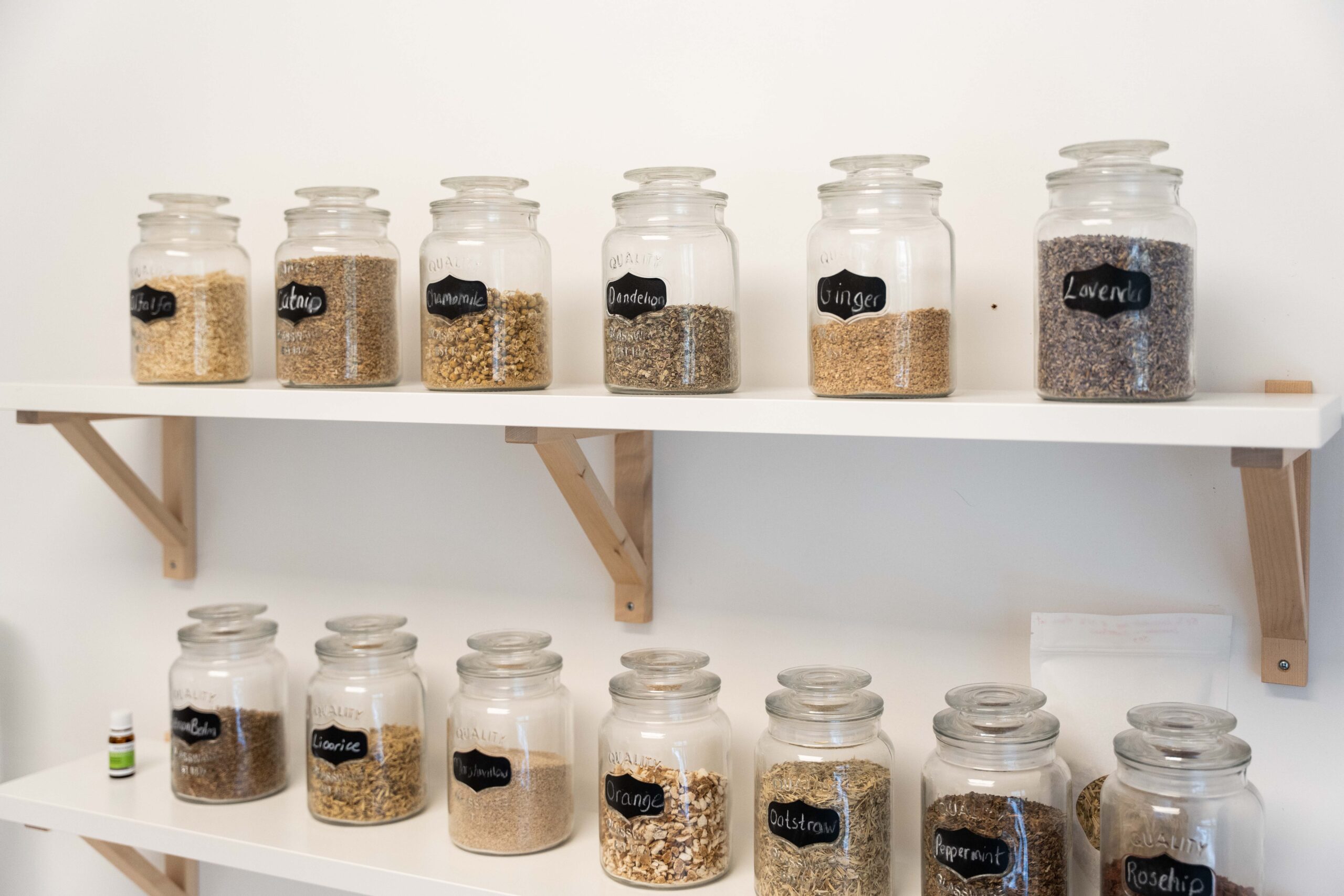 The-WOMB-Burlington-05-17-2023-77-NATUROPATHY